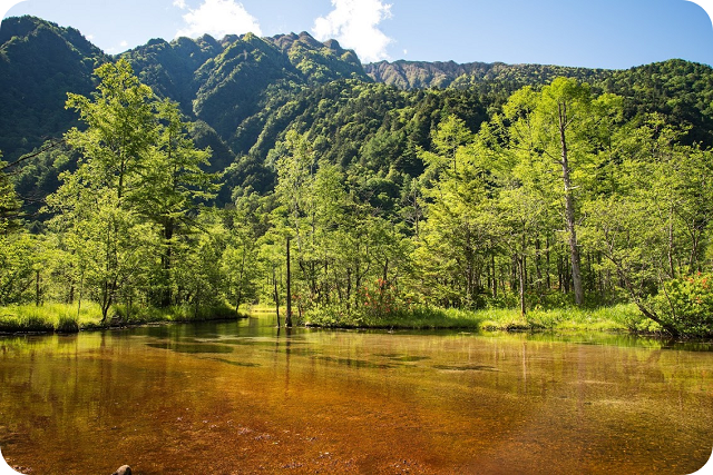 田代池・田代湿原