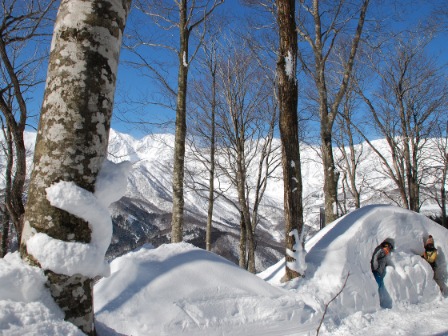 白馬岩岳スノーフィールド