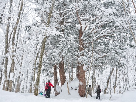 白馬岩岳スノーフィールド