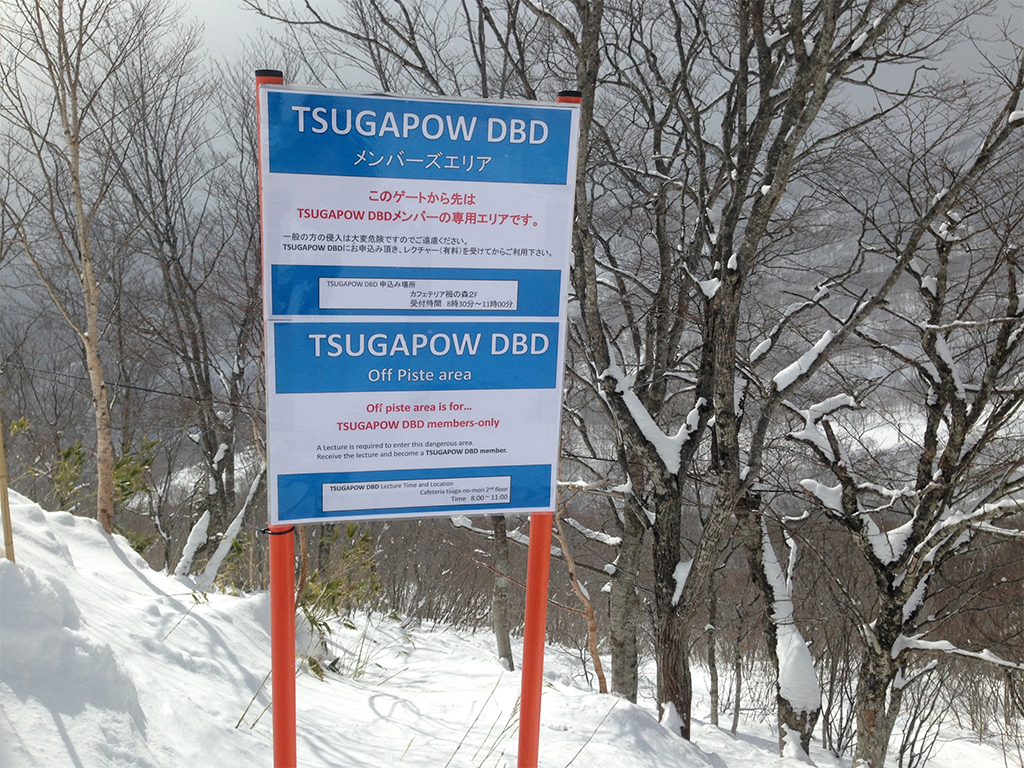 栂池高原スキー場 極上パウダー”TSUGA POW”を味わえる、超上級向けツリーゾーン・栂池DBD