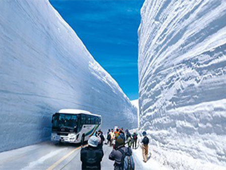 最大約20mも超えることがある雪の大谷※雪の壁の高さは気候や時期により異なります。