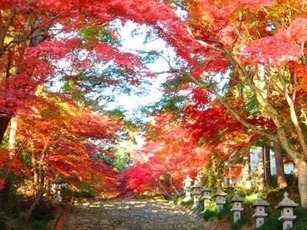 とある神社