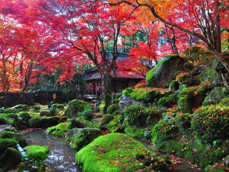 とあるお寺