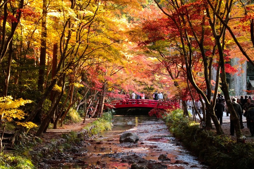 とある神社