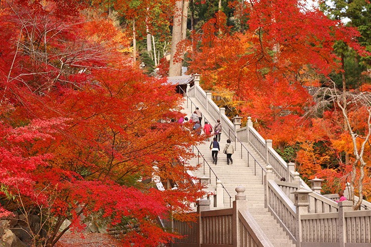 とあるお寺