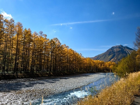 上高地 桂川（秋）