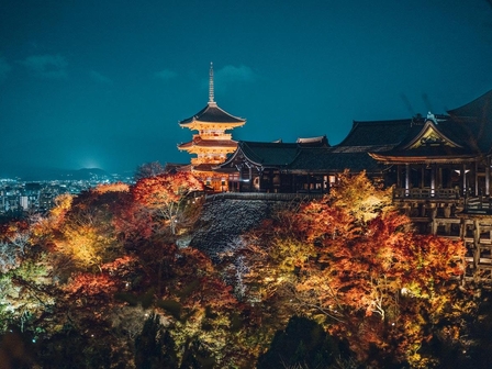 清水寺 ライトアップ（秋）