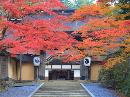 金剛峯寺根本大塔 紅葉（秋）