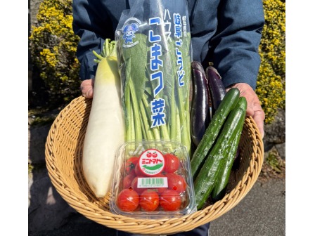 産地直送野菜5品※種類は当日発表