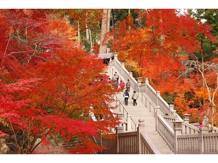 とあるお寺