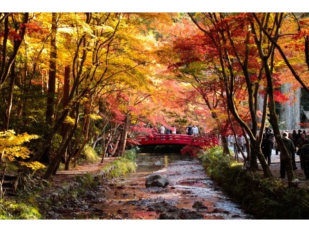 とある神社