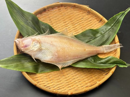 赤カレイ1枚