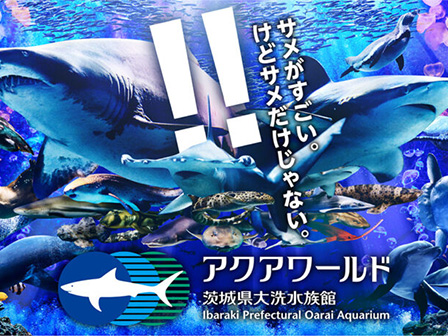 アクアワールド茨城県大洗水族館