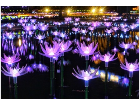 あしかがフラワーパーク