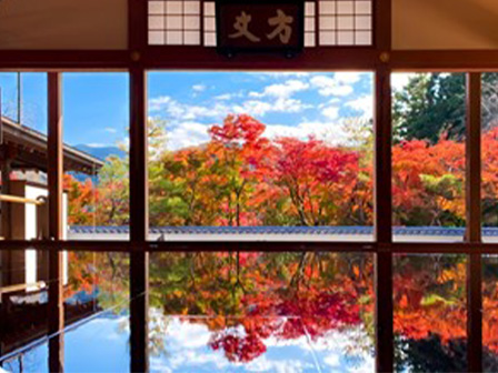宝徳寺（秋の床もみじ）