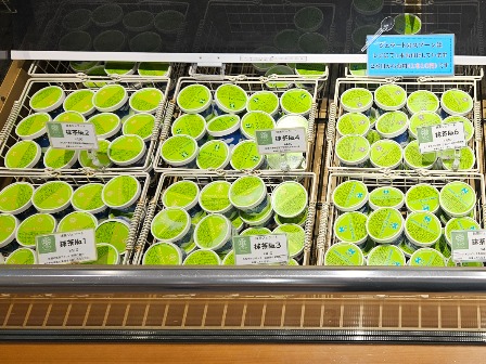 選べるジェラート※イメージ