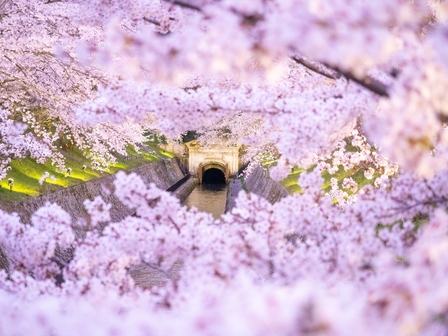 〇〇湖疎水（イメージ）