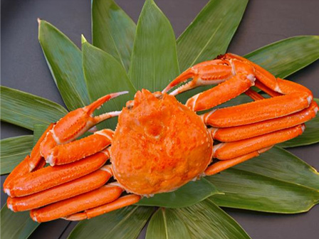 本ズワイガニ500g 大抽選会