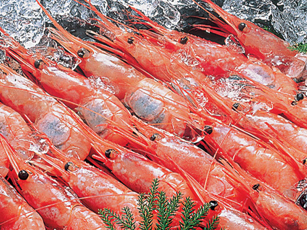 甘エビ1kg 大抽選会