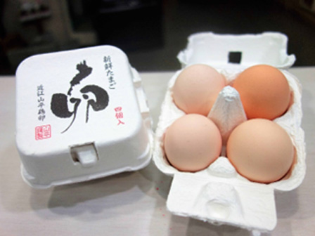 近江卵 お土産付