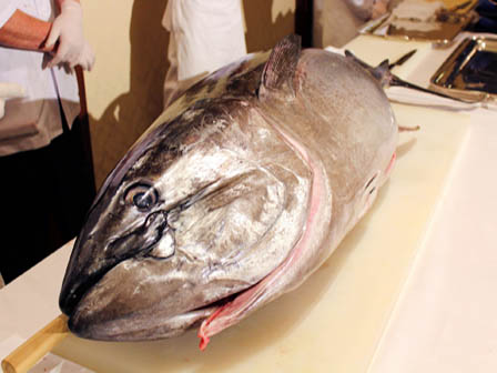 まぐろ解体ショー見学