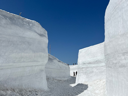 雪の回廊 ©立山黒部アルペンルート