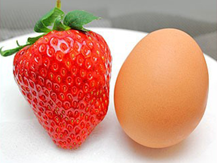 大きいもので卵サイズとなります！