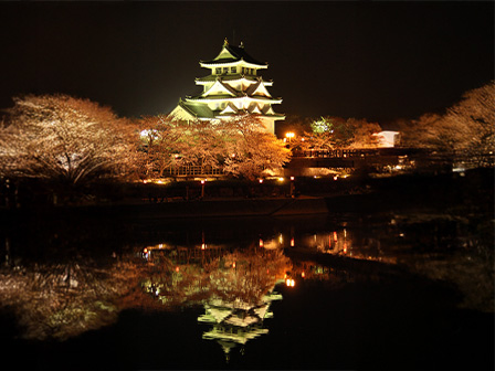 墨俣一夜城（夜桜）