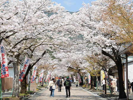 谷汲山華厳寺