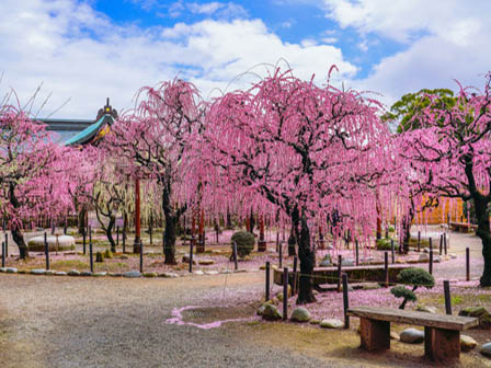 結城神社