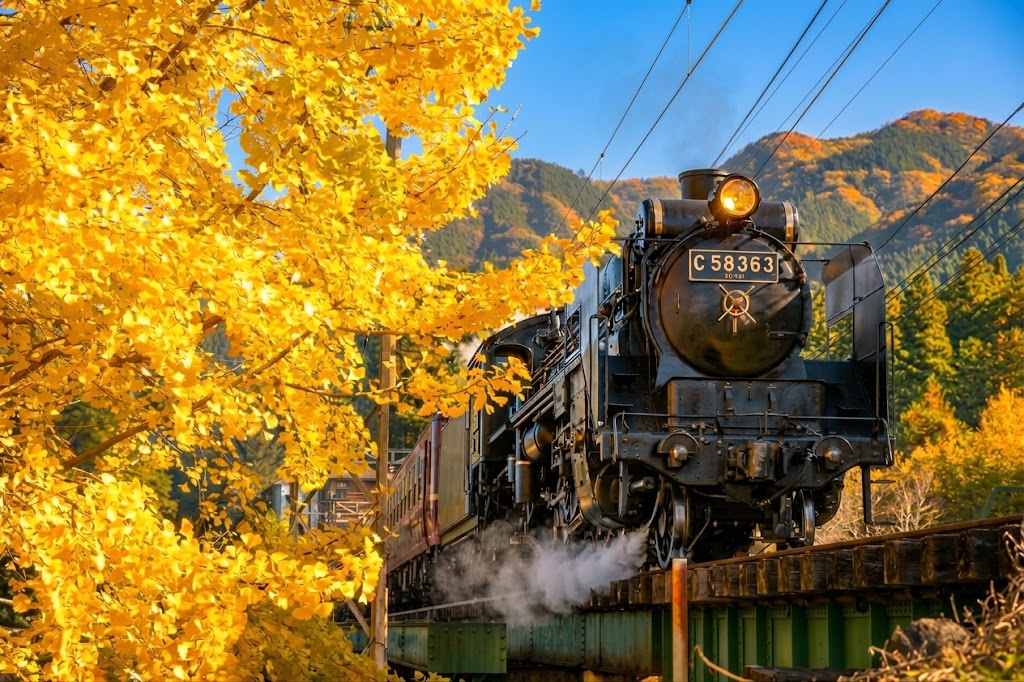 秩父鉄道SL