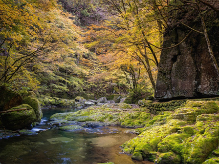 赤目四十八滝