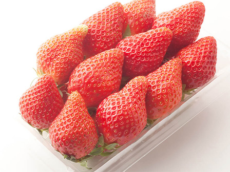 500g以上確約！約2パック以上相当