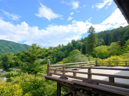 奈良 長谷寺 草いきれの外舞台