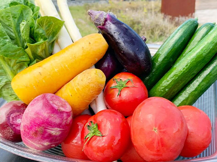 野菜詰め放題！