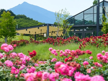 いばらきフラワーパーク