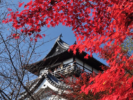 国宝犬山城