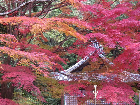 犬山寂光院