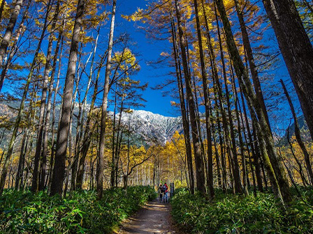 田代池・田代湿原