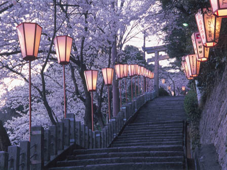 金崎宮 参拝道 ※イメージ