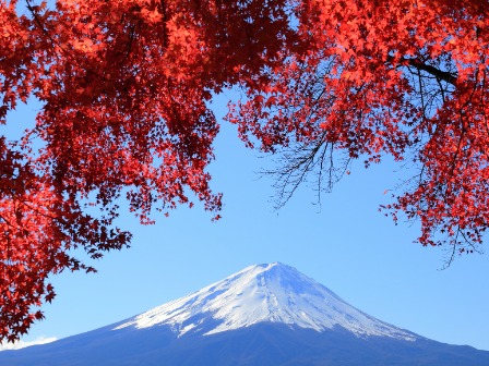 河口湖紅葉まつり