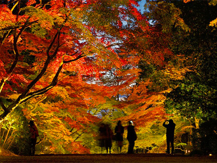 胡宮神社