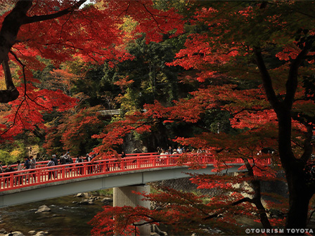 香嵐渓（秋）©TOURISM TOYOTA