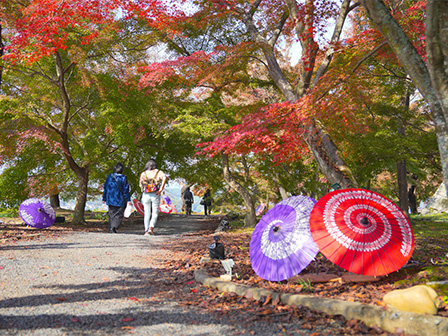 津山城もみじまつり（11月14日～11月23日まで開催）