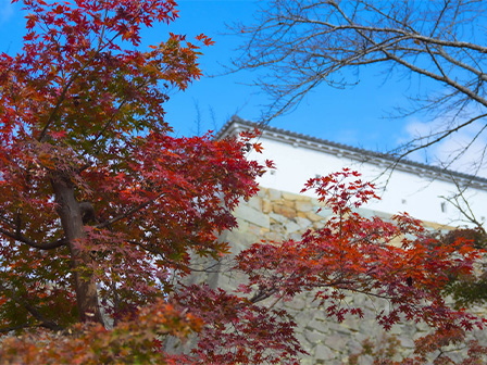 津山城もみじまつり（11月14日～11月23日まで開催）