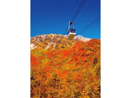 ロープウェイ 山頂から山麓までロープを支える柱がないので圧巻の景観