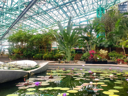 草津市立水生植物公園みずの森