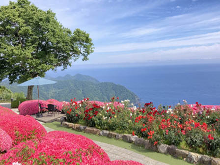 三方五湖レインボーライン バラ園