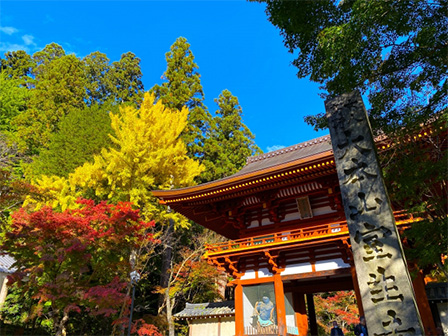 室生寺紅葉 
