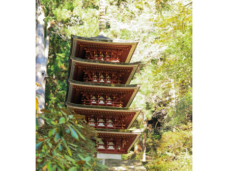 室生寺紅葉 